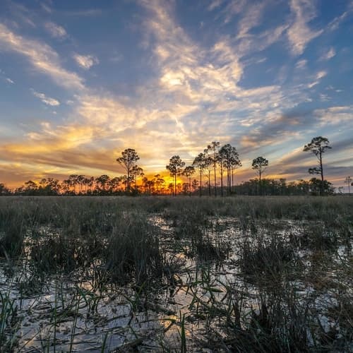 Big Cypress National Preserve