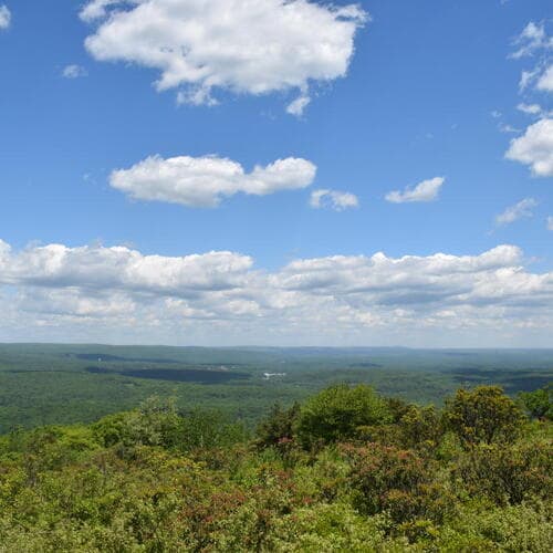 Big Pocono State Park