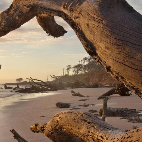 Big Talbot Island State Park