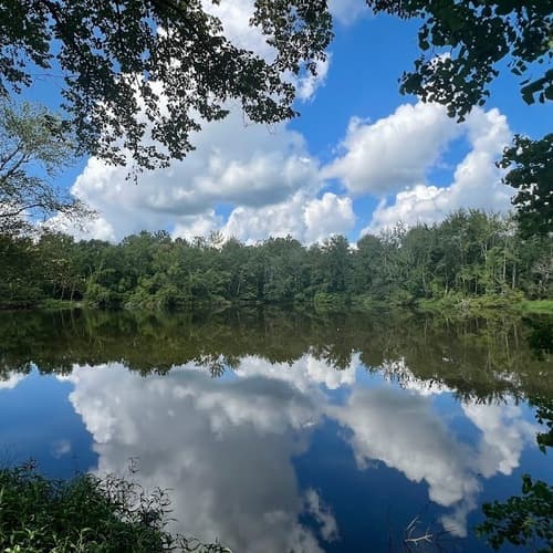 Bogue Chitto State Park