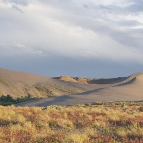 Bruneau Dunes State Park