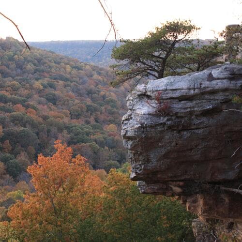 Buck's Pocket State Park