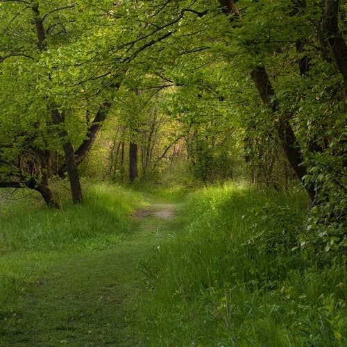 Buffalo River State Park