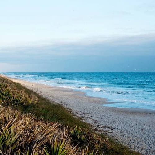 Canaveral National Seashore