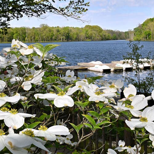 Chain O'Lakes State Park