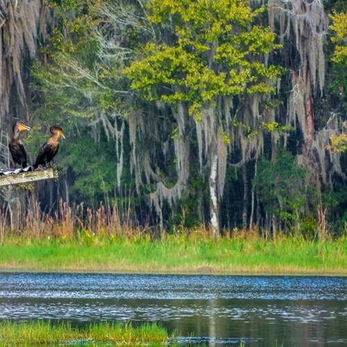 Colt Creek State Park