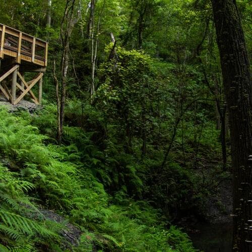 Devil's Millhopper Geological State Park