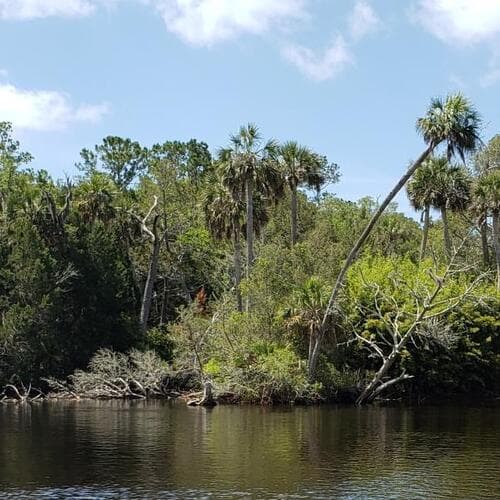 Econfina River State Park