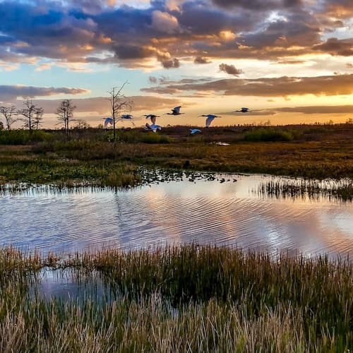 Everglades National Park