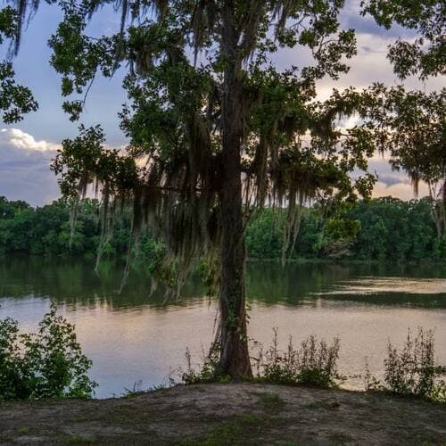 Florence Marina State Park