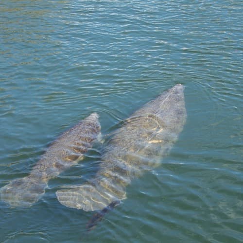 Fort Pickens State Park Aquatic Preserve