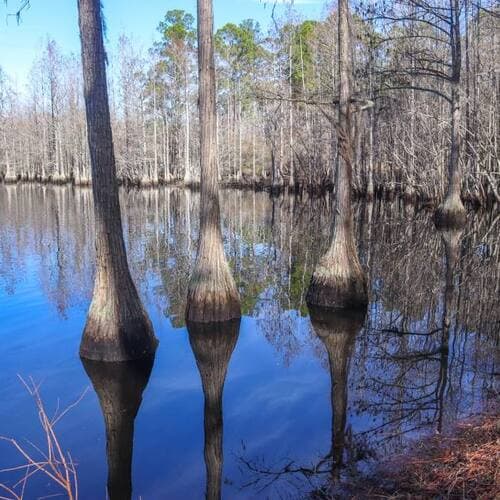 George L. Smith State Park