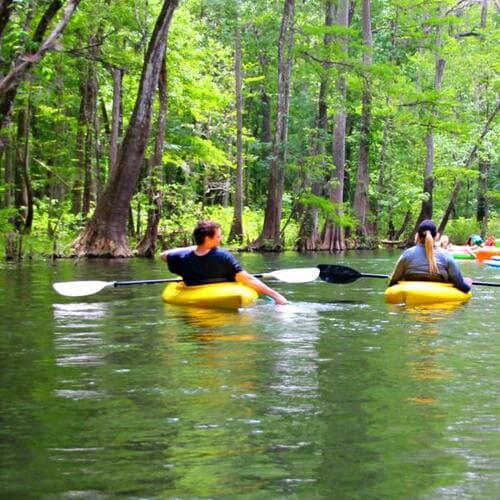 Ichetucknee Springs State Park