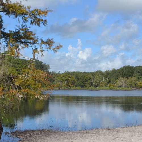 Indian Lake State Forest