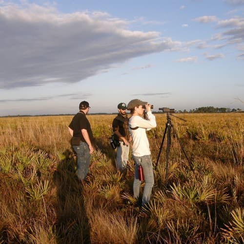 Kissimmee Prairie Preserve State Park