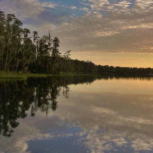 Lake Louisa State Park