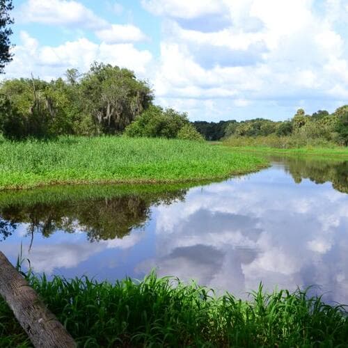 Myakka River State Park