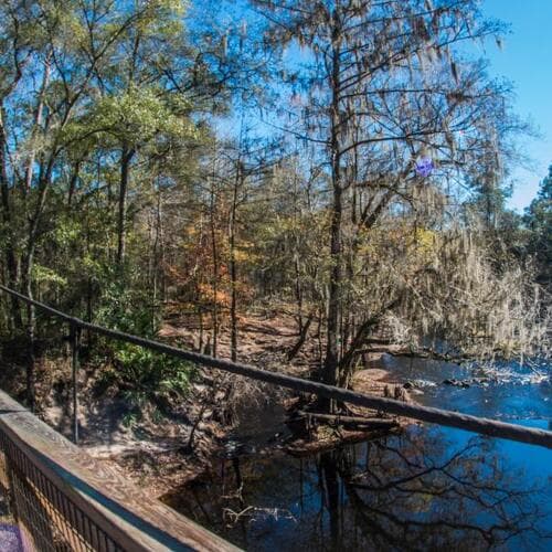 O'Leno State Park