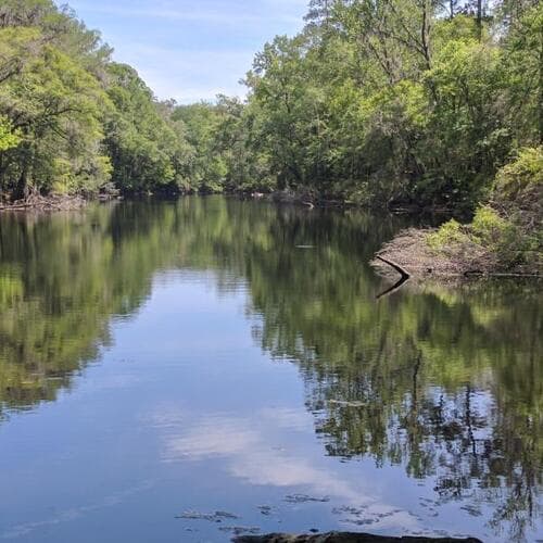 River Rise Preserve State Park