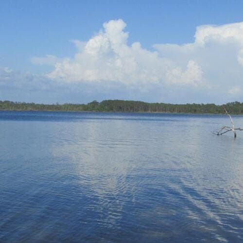 Rocky Bayou State Park Aquatic Preserve