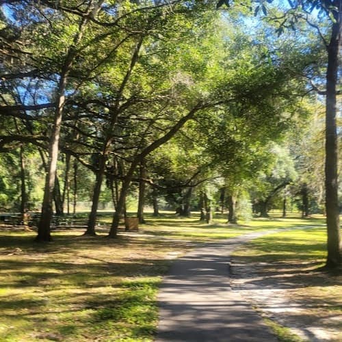 Scott Springs Park