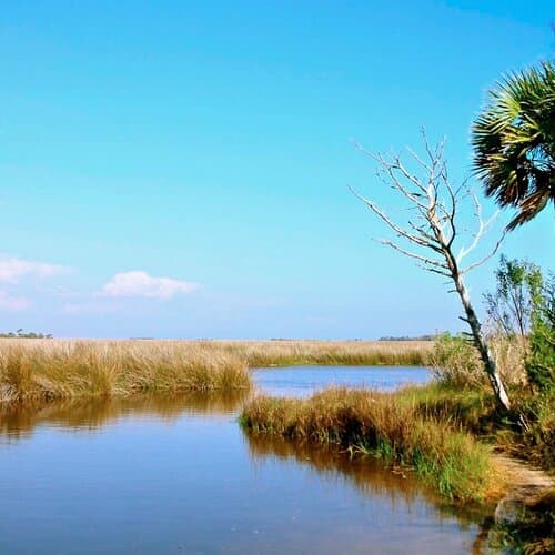 St. Marks National Wildlife Refuge