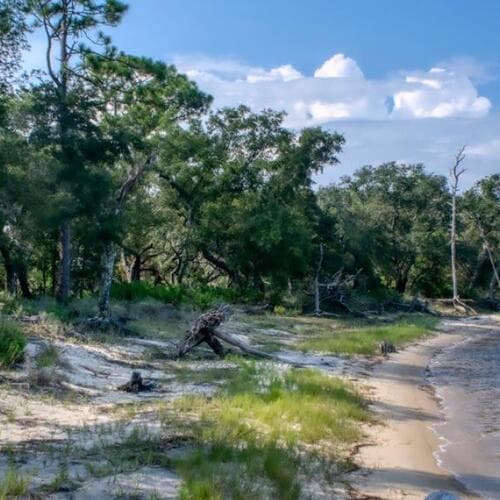 Tarkiln Bayou Preserve State Park